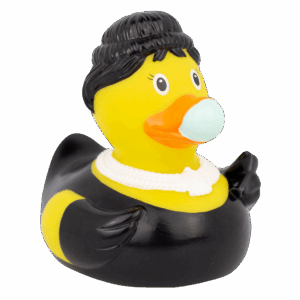 brekki duck - Image 2