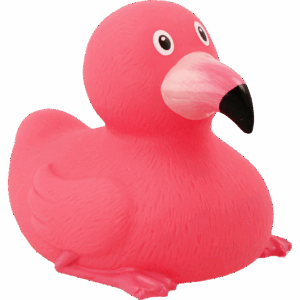 flamingo duck