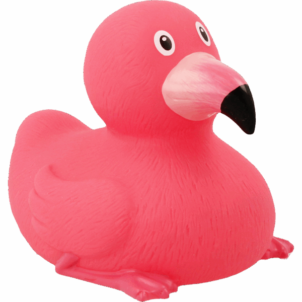 flamingo duck