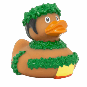 barbatul hawaiian duck