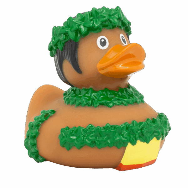 barbatul hawaiian duck
