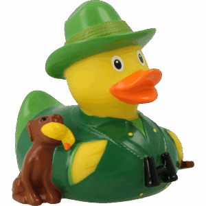 hunter duck