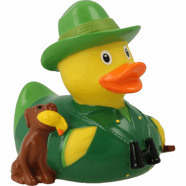 hunter duck
