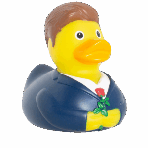 the bachelor duck