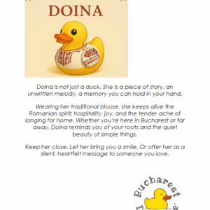 the romanian doina duck - Image 6