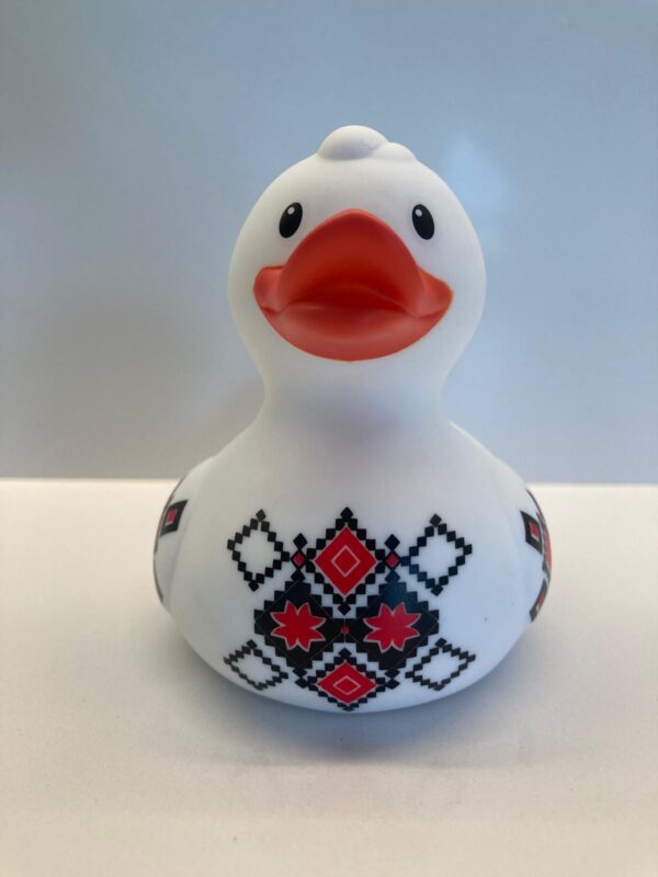 the romanian doina duck